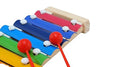 Playminds Ecofriendly Wooden Multicolor Xylophone with 8 Note and 2 Mallets - Musical Toy